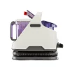 shampouineuse domestique